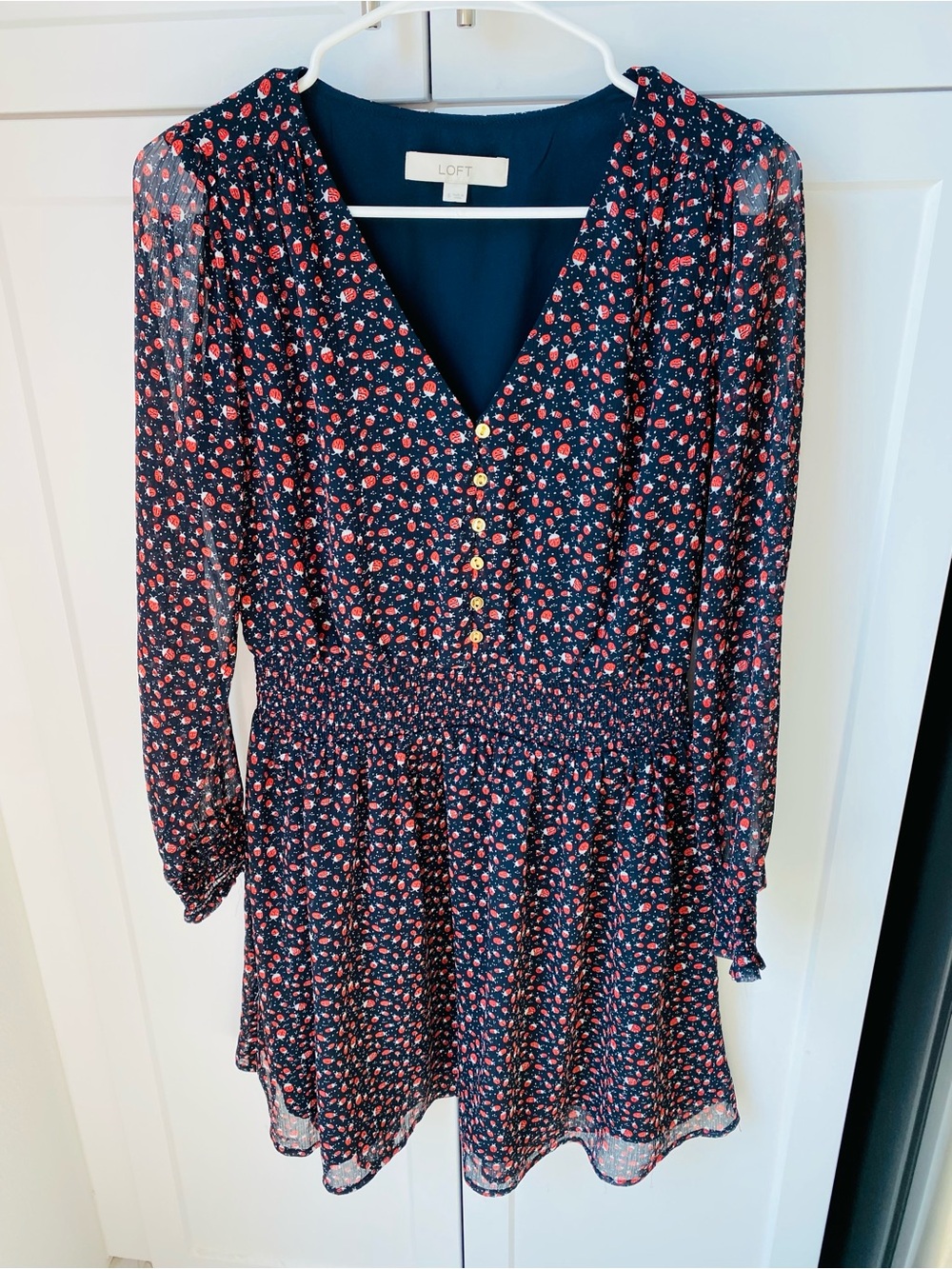 LOFT womens small ladybug long sleeve work dress black red